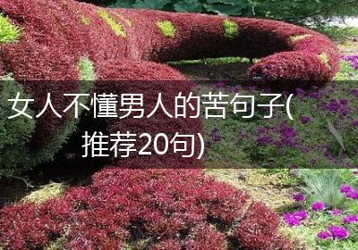 女人不懂男人的苦句子(推荐20句)