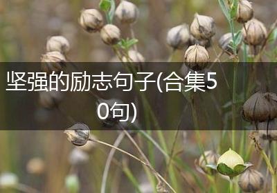 坚强的励志句子(合集50句)