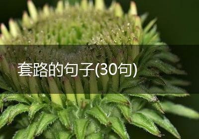 套路的句子(30句)
