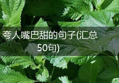 夸人嘴巴甜的句子(汇总50句)