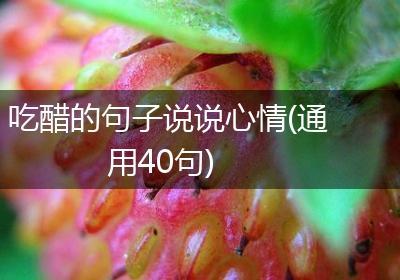 吃醋的句子说说心情(通用40句)
