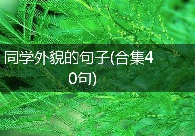 同学外貌的句子(合集40句)