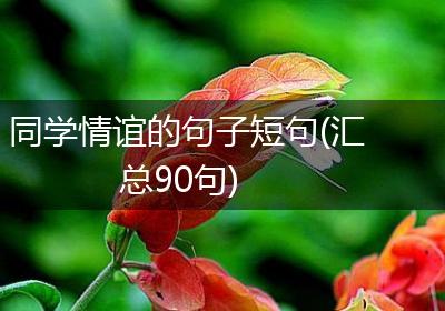 同学情谊的句子短句(汇总90句)