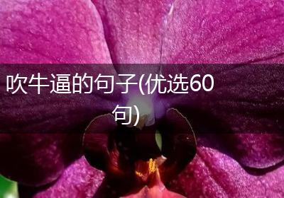 吹牛逼的句子(优选60句)