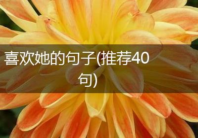 喜欢她的句子(推荐40句)