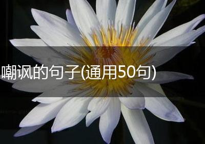 嘲讽的句子(通用50句)