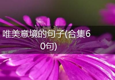 唯美意境的句子(合集60句)