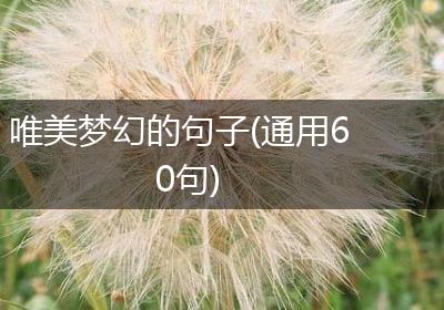 唯美梦幻的句子(通用60句)