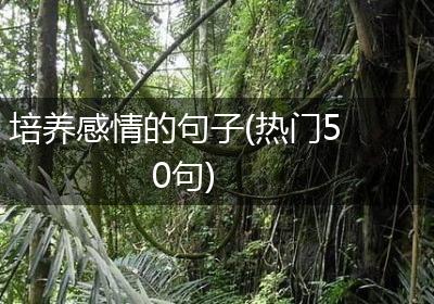 培养感情的句子(热门50句)