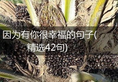 因为有你很幸福的句子(精选42句)
