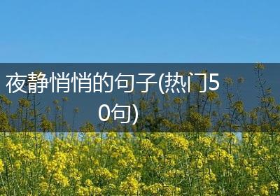 夜静悄悄的句子(热门50句)