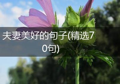 夫妻美好的句子(精选70句)