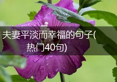 夫妻平淡而幸福的句子(热门40句)