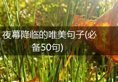 夜幕降临的唯美句子(必备50句)