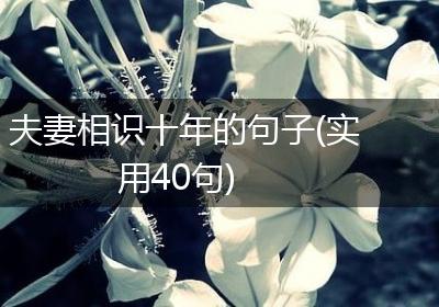 夫妻相识十年的句子(实用40句)