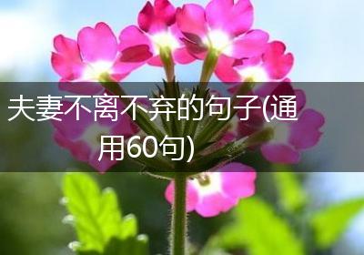 夫妻不离不弃的句子(通用60句)