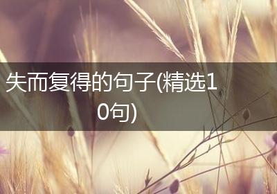 失而复得的句子(精选10句)