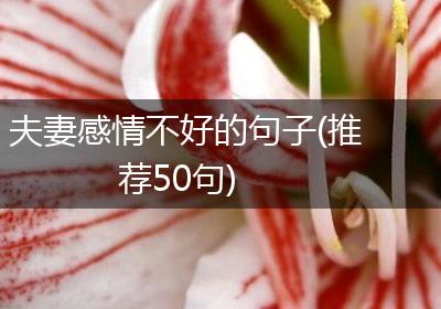 夫妻感情不好的句子(推荐50句)