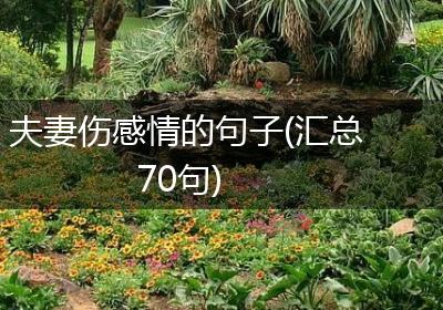 夫妻伤感情的句子(汇总70句)