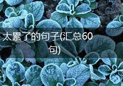 太累了的句子(汇总60句)