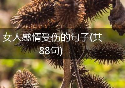 女人感情受伤的句子(共88句)
