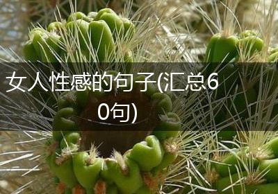 女人性感的句子(汇总60句)