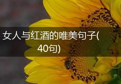 女人与红酒的唯美句子(40句)