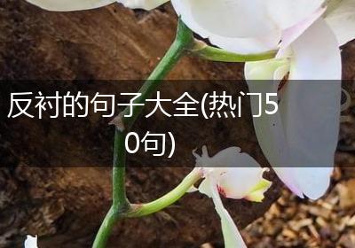 反衬的句子大全(热门50句)