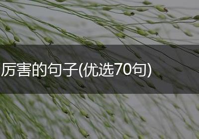 厉害的句子(优选70句)