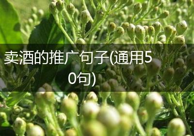 卖酒的推广句子(通用50句)
