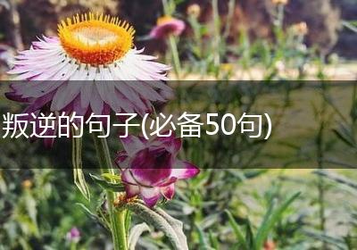 叛逆的句子(必备50句)