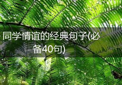 同学情谊的经典句子(必备40句)