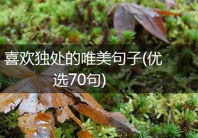喜欢独处的唯美句子(优选70句)