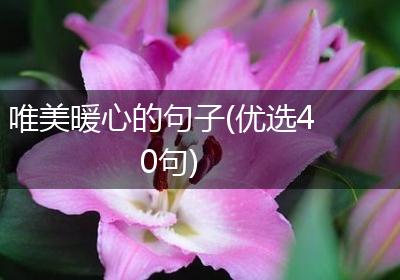唯美暖心的句子(优选40句)