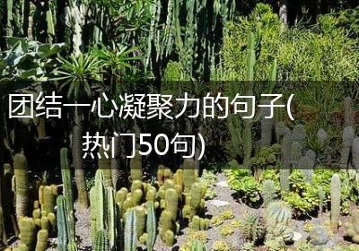 团结一心凝聚力的句子(热门50句)