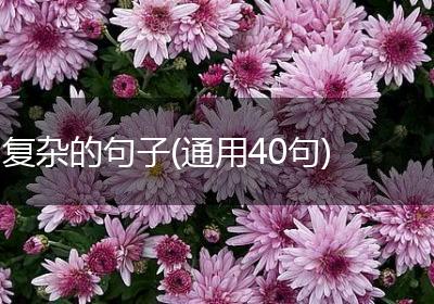 复杂的句子(通用40句)