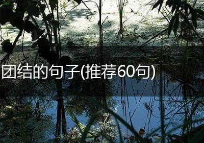 团结的句子(推荐60句)
