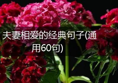 夫妻相爱的经典句子(通用60句)