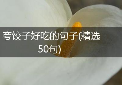 夸饺子好吃的句子(精选50句)