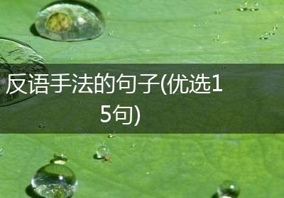 反语手法的句子(优选15句)