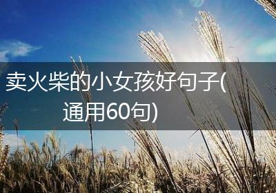 卖火柴的小女孩好句子(通用60句)