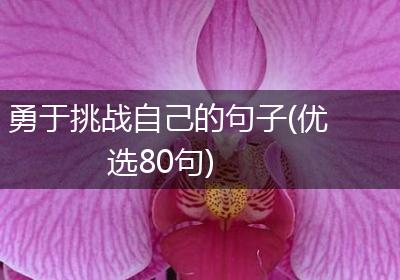 勇于挑战自己的句子(优选80句)