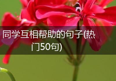 同学互相帮助的句子(热门50句)