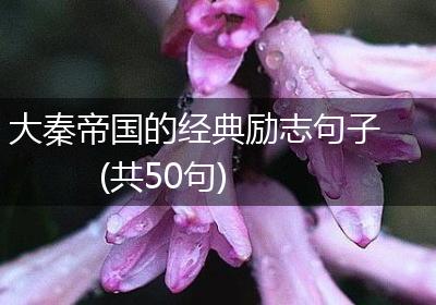 大秦帝国的经典励志句子(共50句)