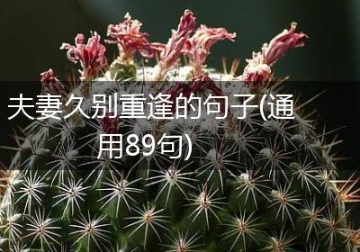 夫妻久别重逢的句子(通用89句)