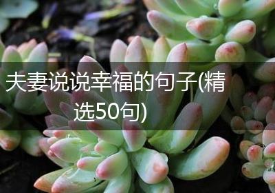 夫妻说说幸福的句子(精选50句)