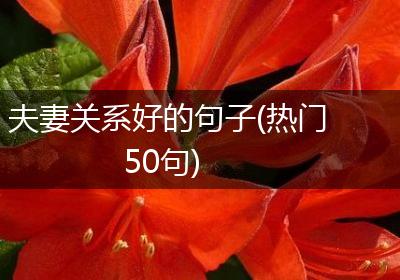 夫妻关系好的句子(热门50句)