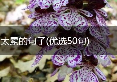 太累的句子(优选50句)
