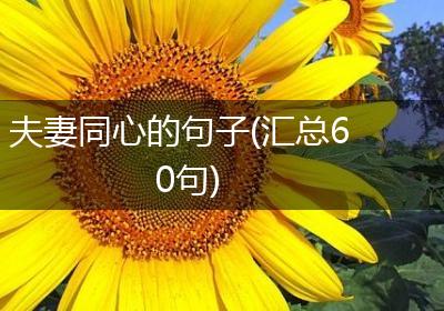 夫妻同心的句子(汇总60句)