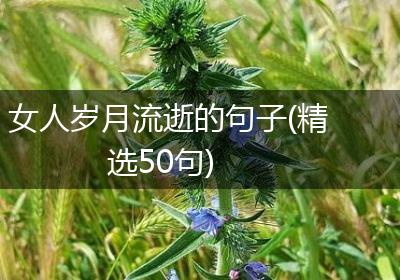 女人岁月流逝的句子(精选50句)
